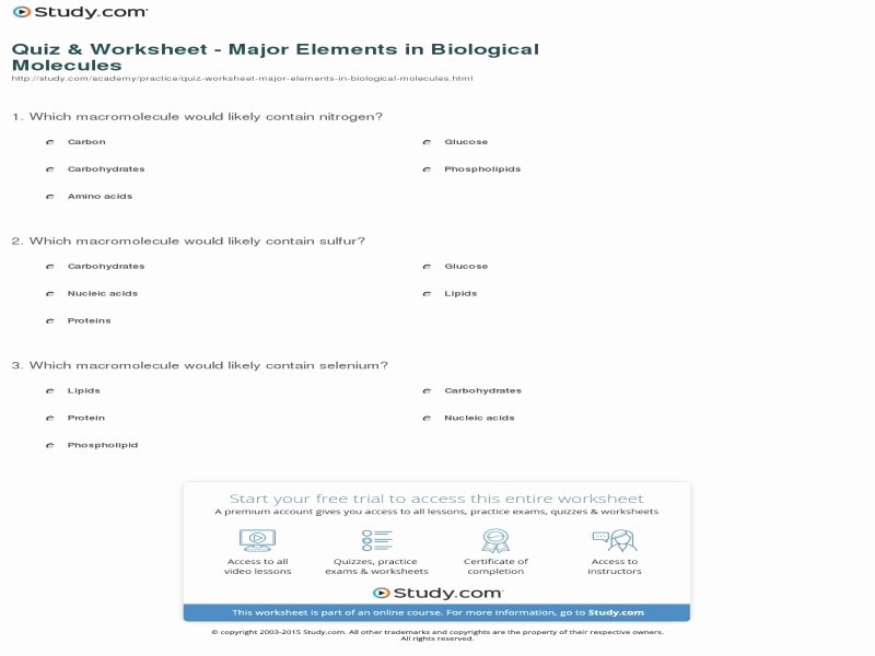 Biological Molecules Worksheet Answers - Englishworksheet.my.id