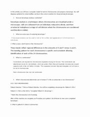 Biology Karyotype Worksheet Answers Key New 6 What is Patient Bs History Summarize Patient B is A 28
