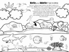 Biotic and Abiotic Factors Worksheet Fresh Ecology Biotic and Abiotic Factors Worksheet Google