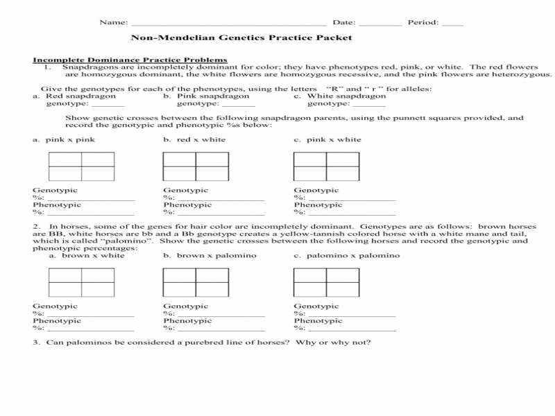 50 Blood Type And Inheritance Worksheet