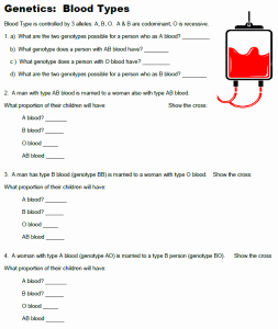 Blood Type and Inheritance Worksheet Lovely Practice Problems Genetics and Blood Types