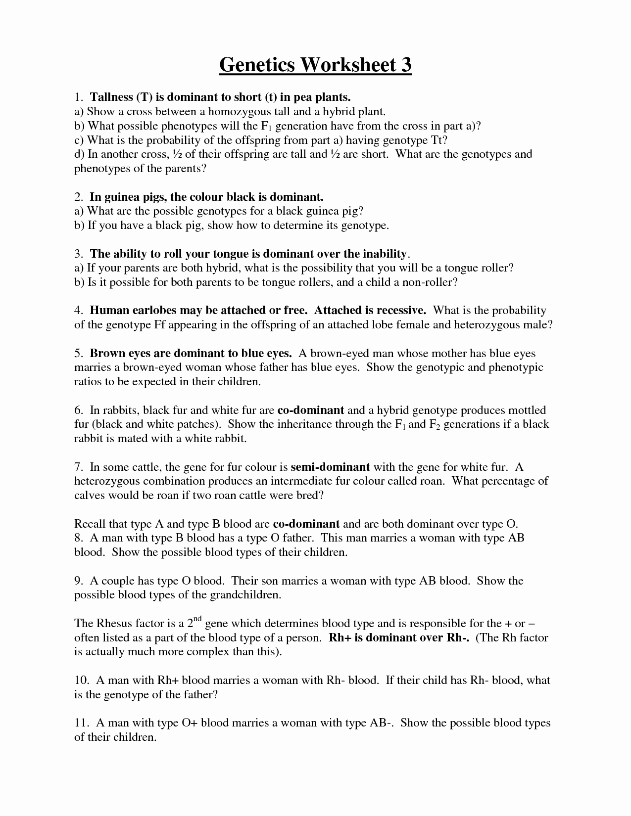 Blood Type and Inheritance Worksheet New 16 Best Of Blood Type Worksheet Answer Key