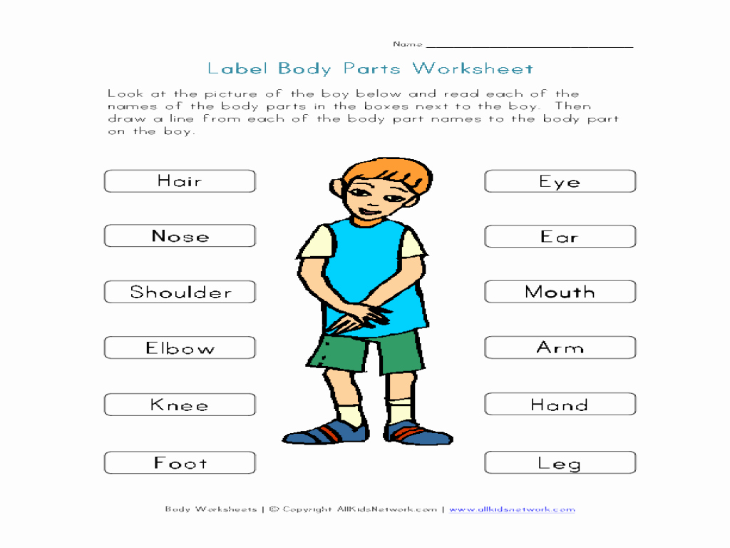 Body Parts In Spanish Worksheet Best Of Parts Of the Body Worksheet Google Search