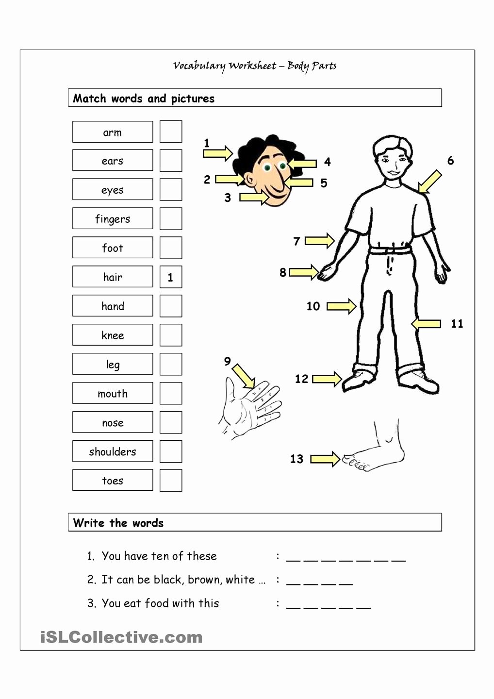Body Parts In Spanish Worksheet Fresh Vocabulary Matching Worksheet Body Parts 1