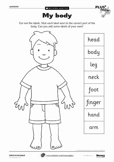 Body Parts In Spanish Worksheet