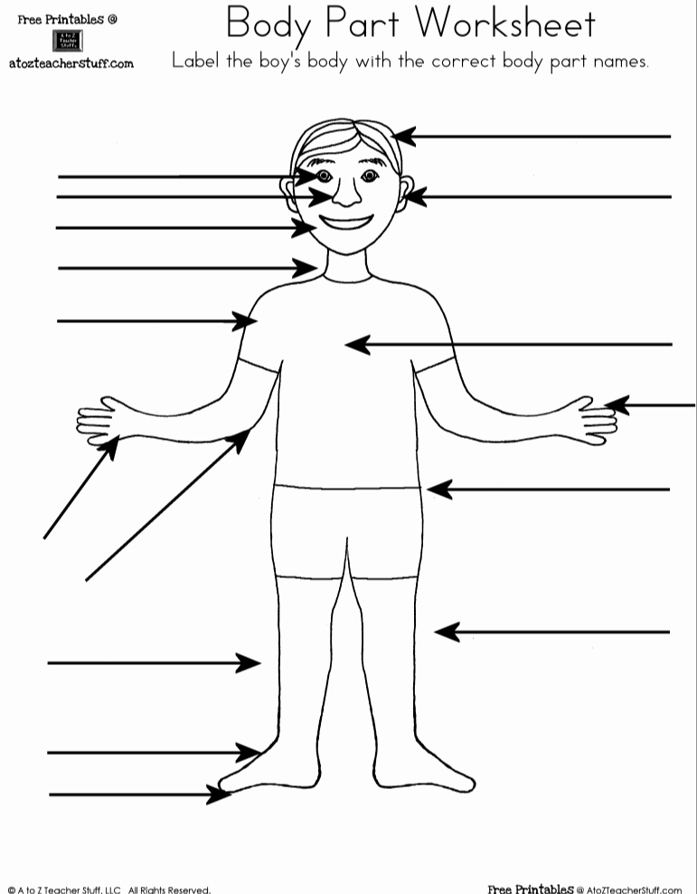 Body Parts In Spanish Worksheet Lovely Body Part Worksheet Boy and Girl