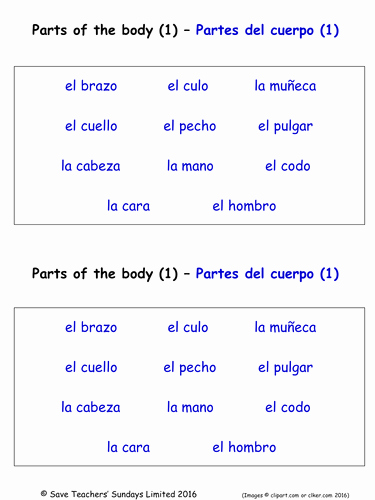 Body Parts In Spanish Worksheet Lovely Parts Of the Body In Spanish Worksheets 3 Labelling