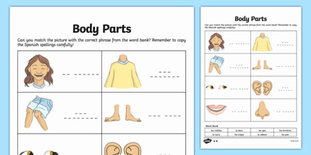 Body Parts In Spanish Worksheet New Spanish My Body Body Parts Worksheet Worksheet Spanish