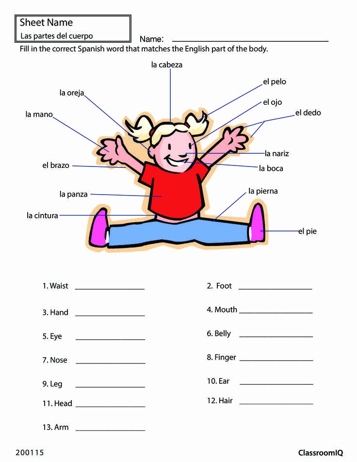 Body Parts In Spanish Worksheet