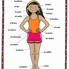 Body Parts In Spanish Worksheet Unique Body Parts In Spanish Spanishworksheets Classroomiq