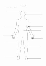 Body Parts In Spanish Worksheet Unique Parts Of the Body — 14 Puzzle Packet