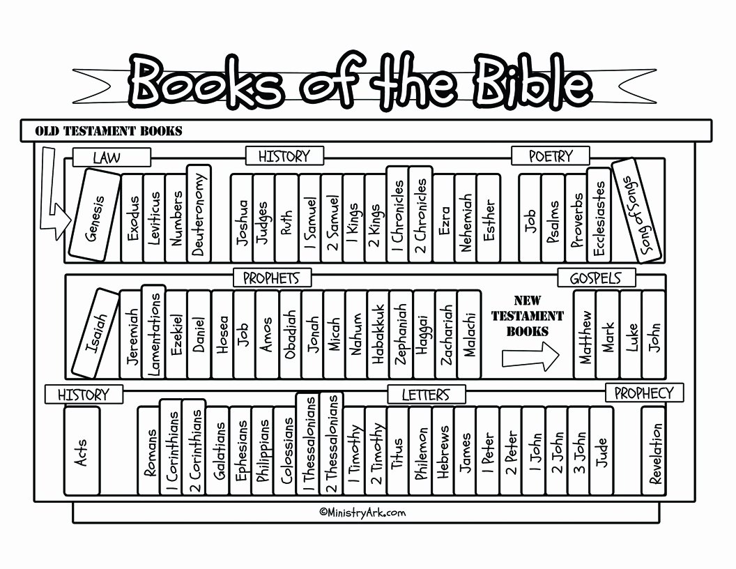 Books Of the Bible Worksheet Best Of Books Of the Bible Bookcase Printable • Ministryark