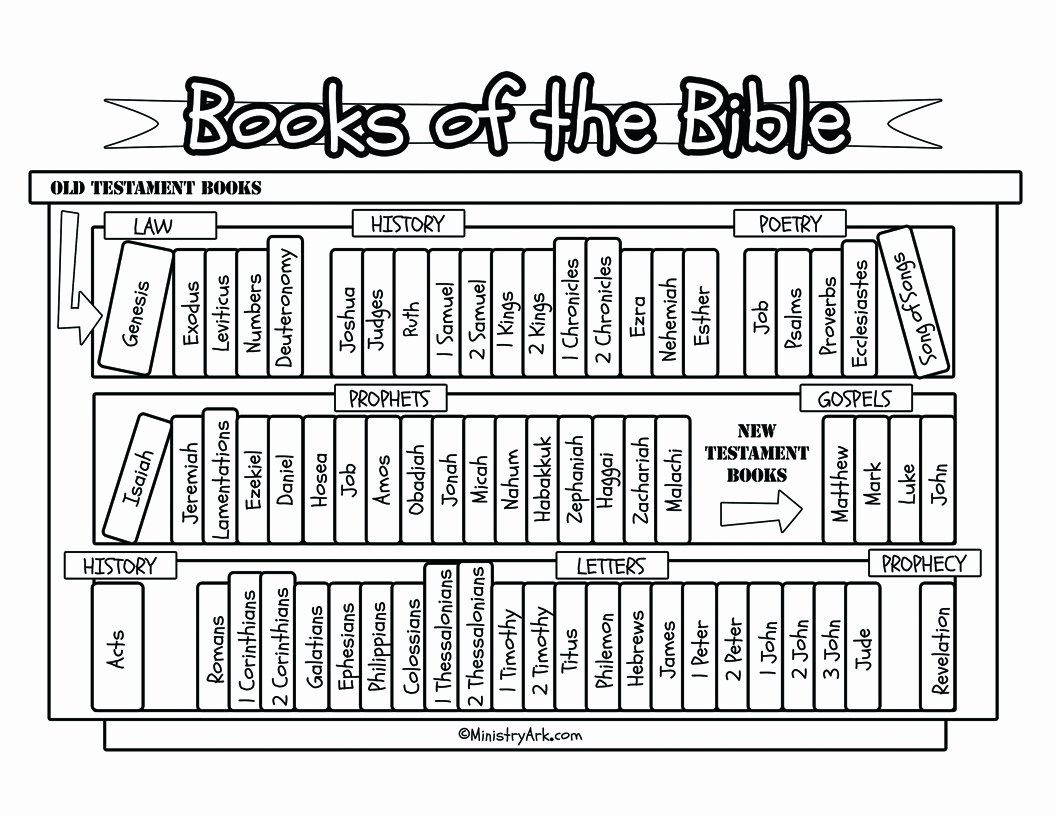50 Books Of The Bible Worksheet Chessmuseum Template Library