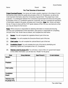 Branches Of Government Worksheet Awesome the &quot;tree&quot; Branches Of Government 6th 12th Grade