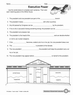 Branches Of Government Worksheet Elegant Three Branches Of Government Lesson and Worksheets