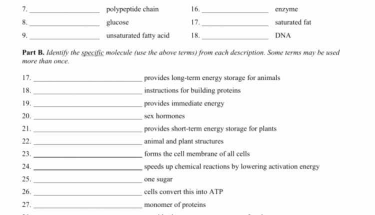 Building Macromolecules Worksheet Answers Awesome the Best Template Of Macromolecules Worksheet From 5