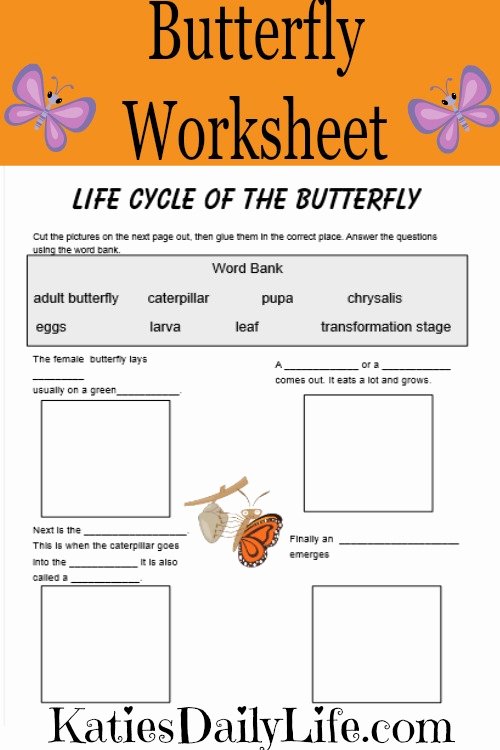 Butterfly Life Cycle Worksheet Beautiful Free Printable Day 3 butterflies Katie S Daily Life