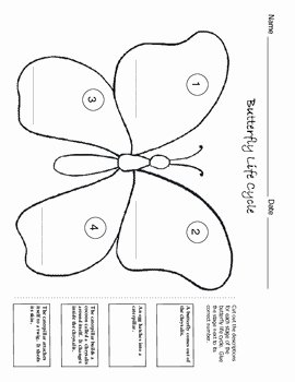 Butterfly Life Cycle Worksheet Luxury butterfly Life Cycle Worksheet by Kelly Connors