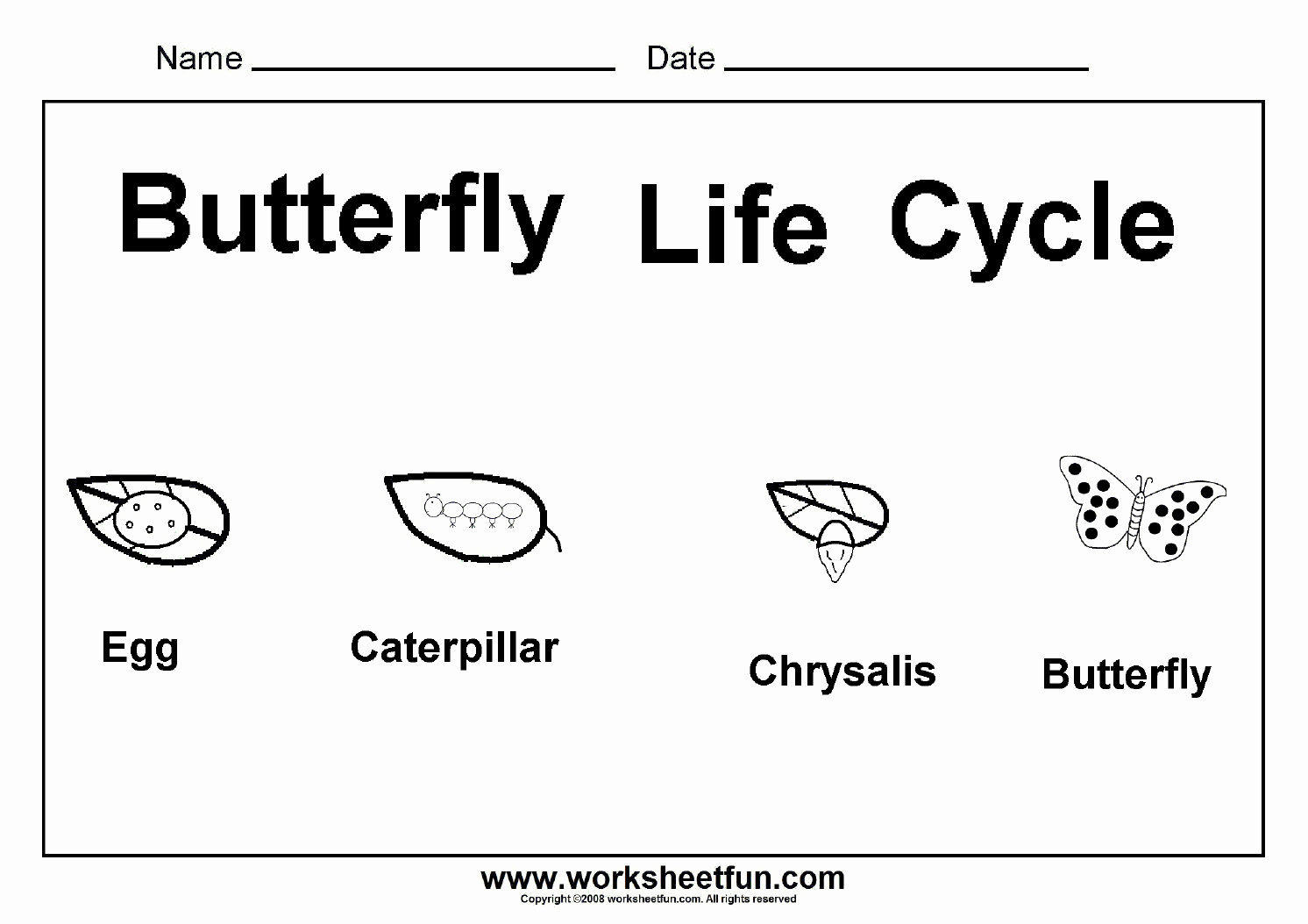 Butterfly Life Cycle Worksheet Unique butterfly Life Cycle – E Worksheet Free Printable