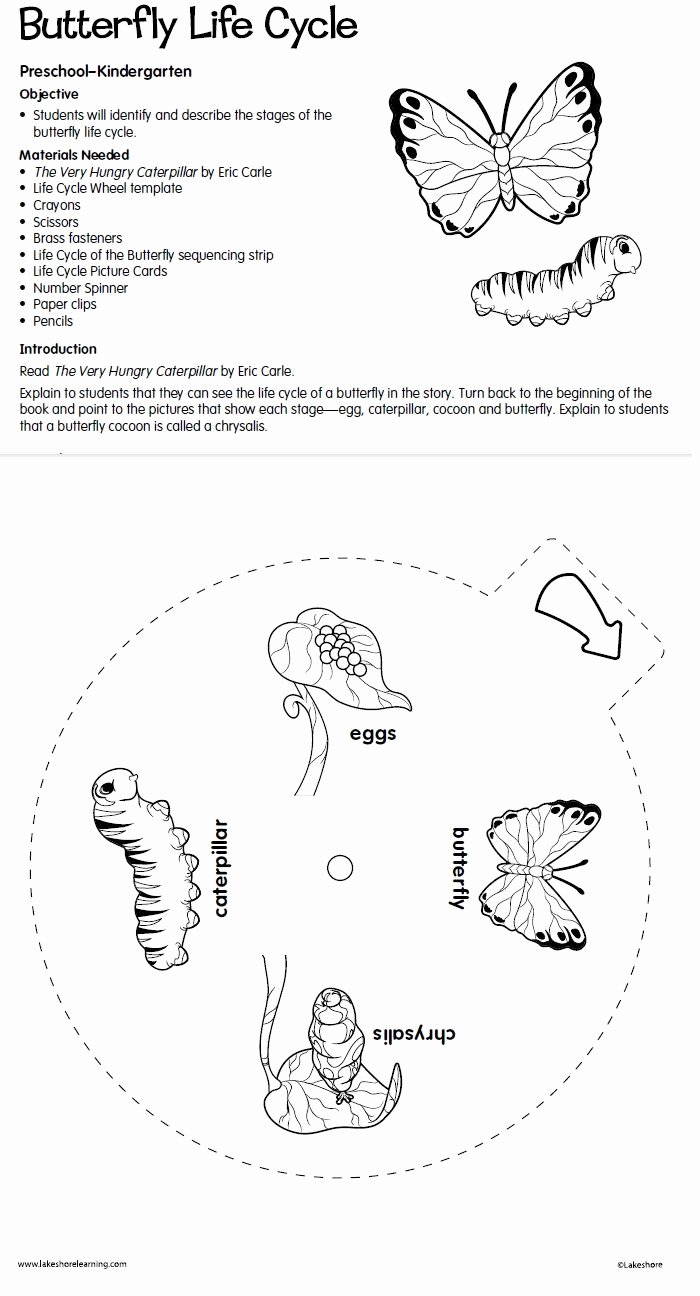 Butterfly Life Cycle Worksheet Unique butterfly Life Cycle Lesson Plan From Lakeshore Learning
