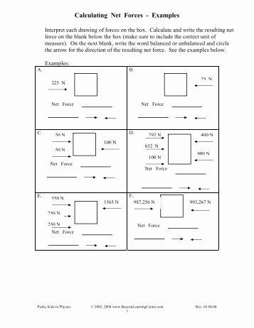 Calculating force Worksheet Answers Best Of Net force