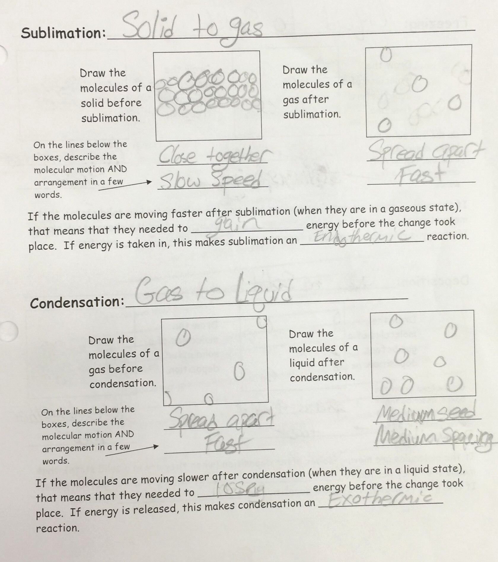 50 Calculating Specific Heat Worksheet Chessmuseum Template Library