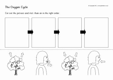 Carbon Cycle Diagram Worksheet Best Of Oxygen Cycle Diagram Blank 2019