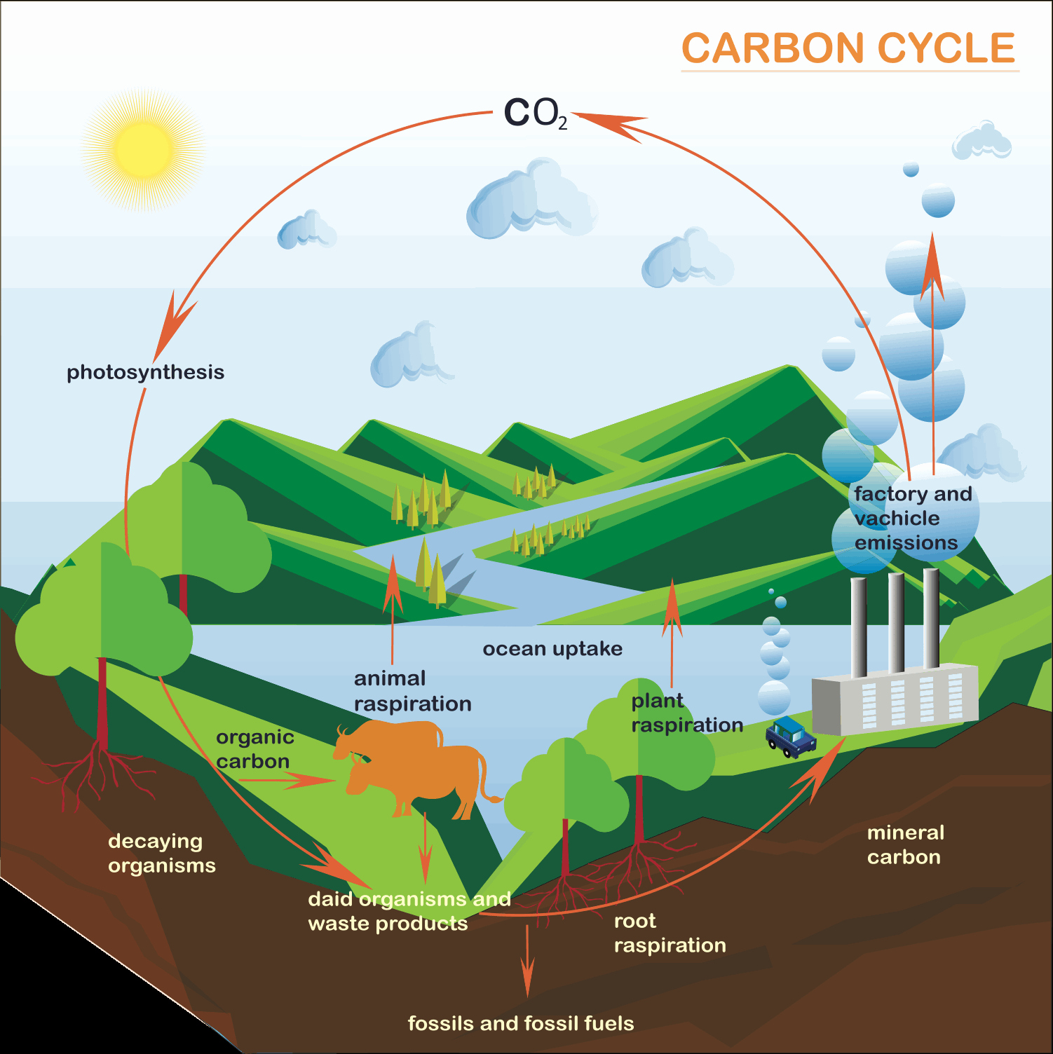 Carbon Cycle Diagram Worksheet Best Of Processes and Pathways Of the Carbon Cycle A Level Geography