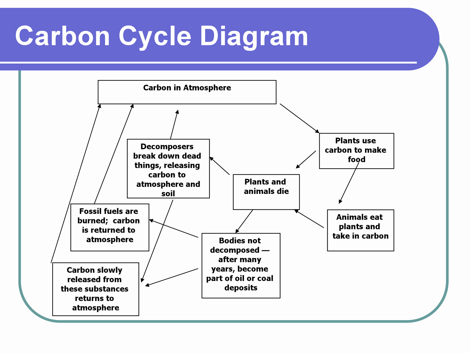 Carbon Cycle Diagram Worksheet Elegant Cianna Gibson Science 10 Ms Ward December 2012