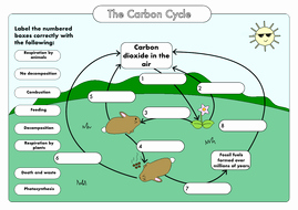 Carbon Cycle Diagram Worksheet New Gcse Biology Carbon Cycle Worksheets and A3 Wall Posters