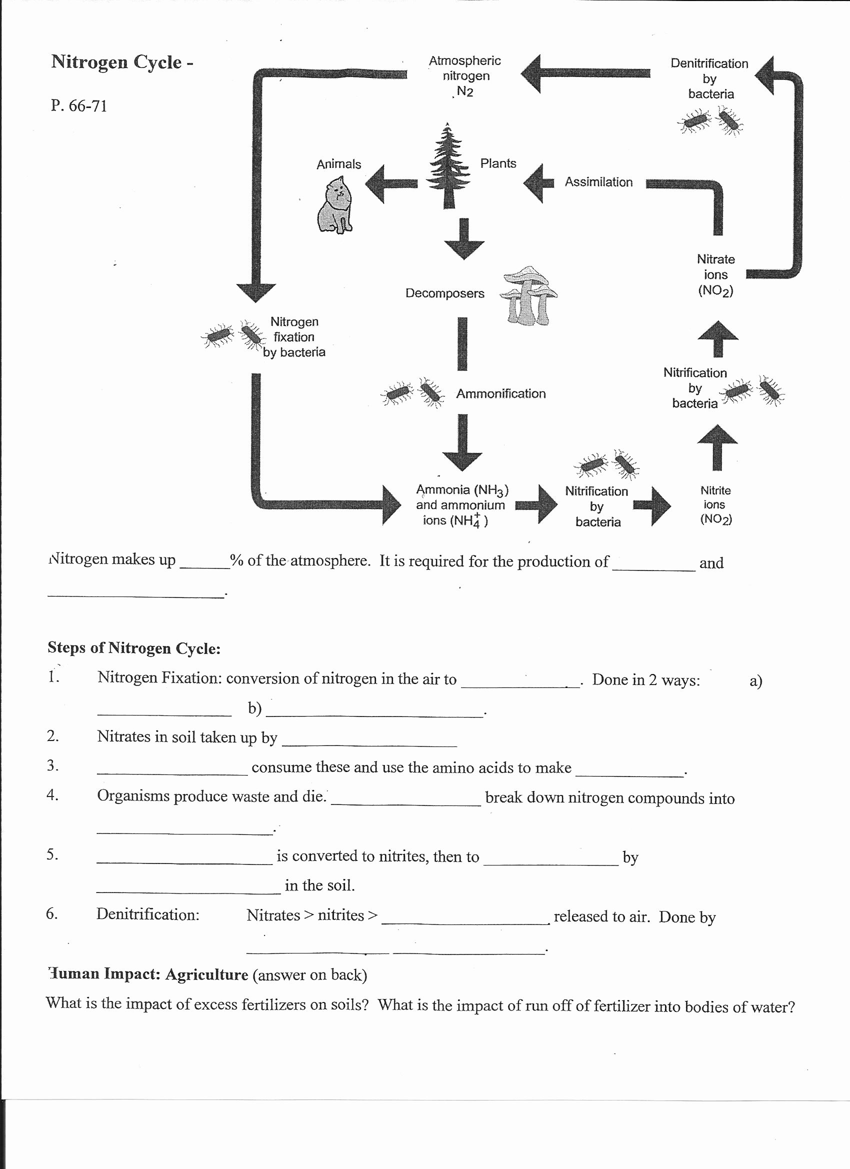 Carbon Cycle Diagram Worksheet Unique 17 Best Of Nitrogen Cycle Worksheet Middle School