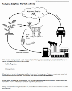 Carbon Cycle Diagram Worksheet Unique Analyzing Graphics the Carbon Cycle
