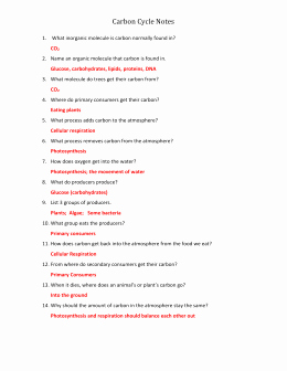 Carbon Cycle Worksheet Answers Awesome Carbon Cycle