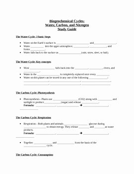 Carbon Cycle Worksheet Answers Elegant Biogeochemical Cycles Water Carbon and Nitrogen Study