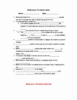 Carbon Cycle Worksheet Answers Elegant Study Jams Carbon Cycle Review Sheet by Crazy4teaching