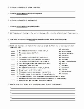 Carbon Cycle Worksheet Answers Fresh the Carbon Cycle Review Worksheet Editable by Tangstar