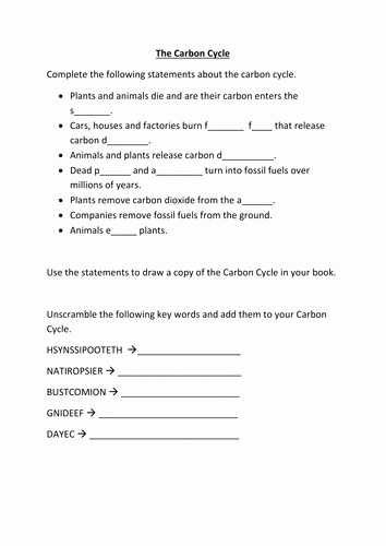 Carbon Cycle Worksheet Answers Inspirational Carbon Cycle Worksheet Questions Match Up Activity by