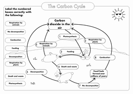 Carbon Cycle Worksheet Answers New Gcse Carbon Cycle A4 Poster to Label Sample Worksheet by