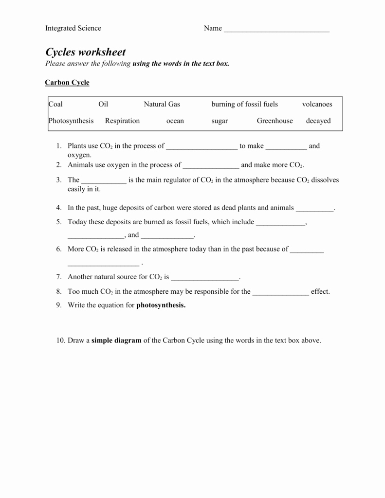 Carbon Cycle Worksheet Answers New Microsoft Word Cycles Worksheetc
