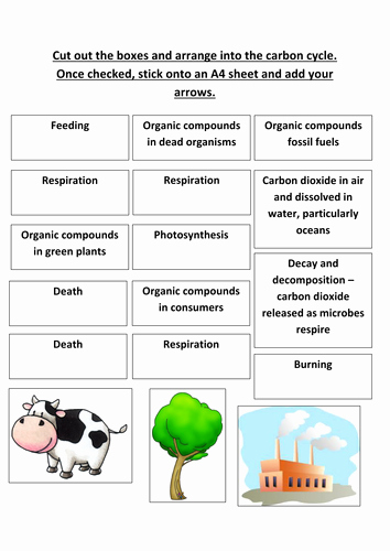 Carbon Cycle Worksheet Answers Unique B1 5 4 Carbon Cycle by Nryates157 Teaching Resources Tes