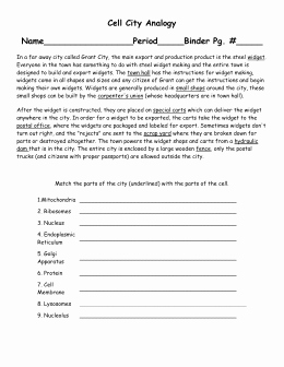 Cell City Analogy Worksheet Answers Best Of Cell Structures