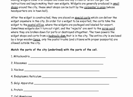 Cell City Analogy Worksheet Answers Elegant Cell City Analogy Worksheet Answers Displaying 20