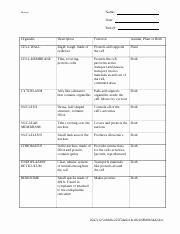 Cell City Analogy Worksheet Answers Fresh Cell City Analogy Worksheet Cell City Analogy In A for