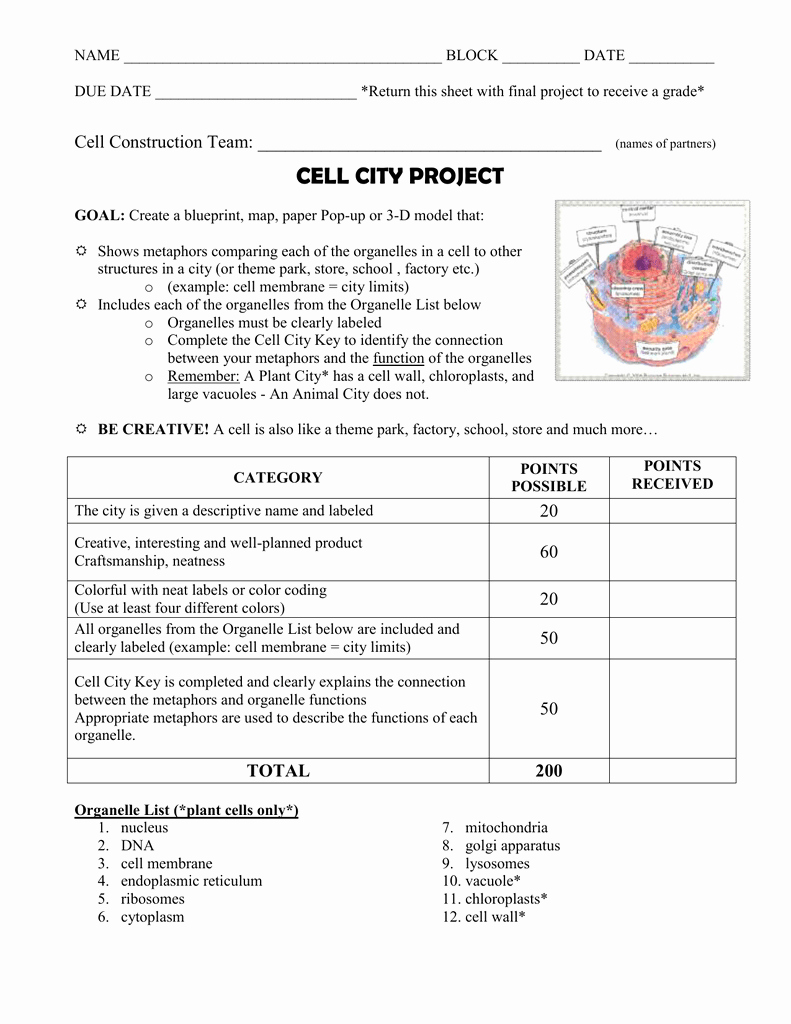 Cell City Analogy Worksheet Answers Fresh Cell City Analogy Worksheet Wid Answer Key