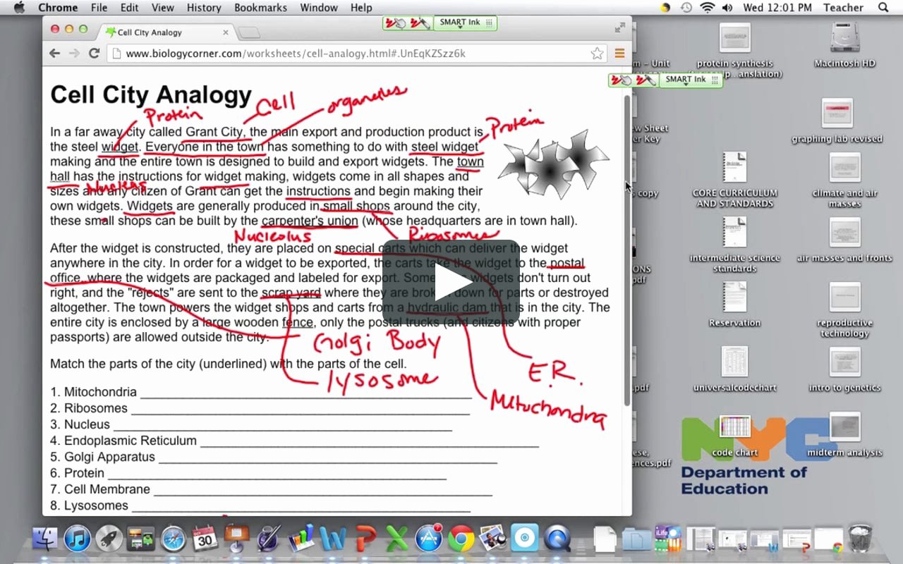 Cell City Analogy Worksheet Elegant Cell City Analogy Worksheet Wid Answer Key