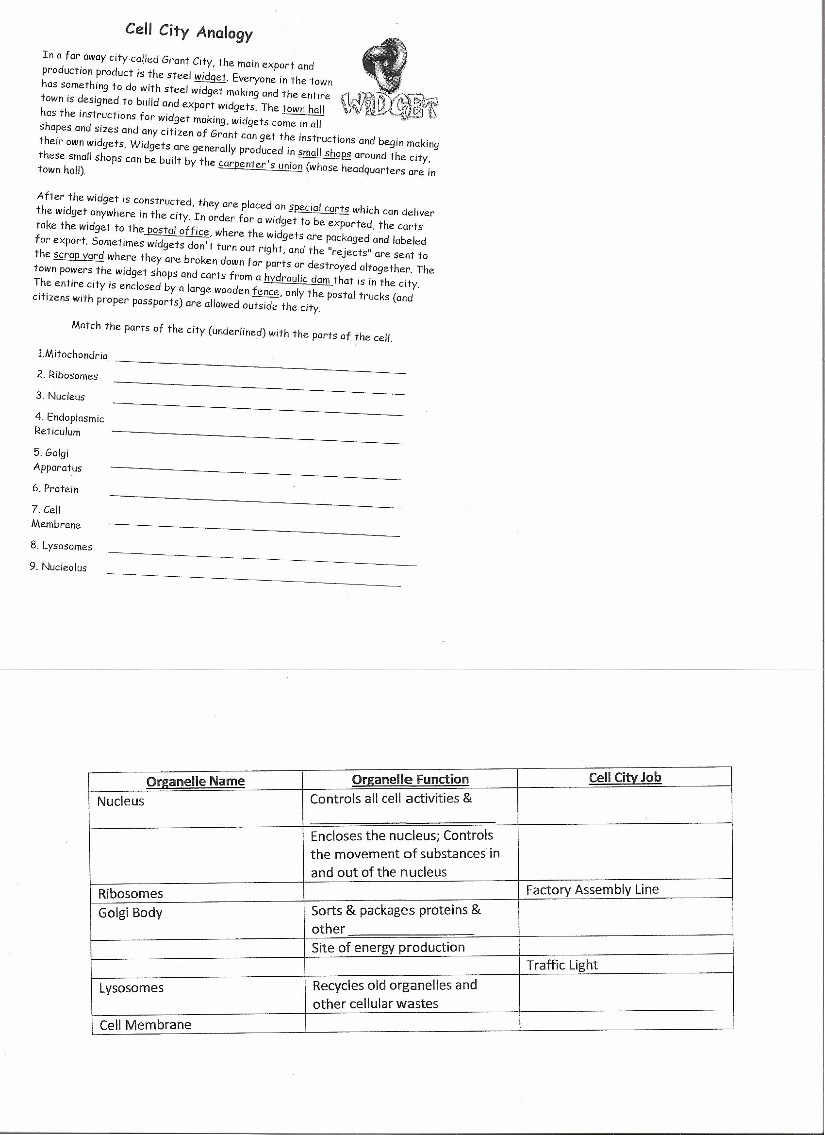 Cell City Analogy Worksheet New Cell City Analogy Chart the Best Worksheets Image