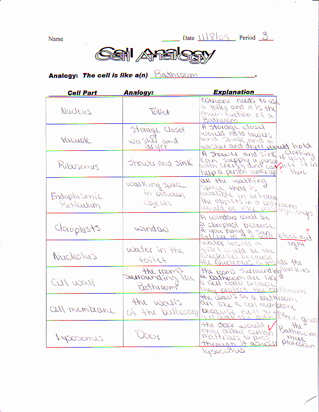 Cell City Analogy Worksheet Unique Nylearns Cell Works by St Lawrence Lewis Boces