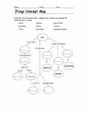 Cell Concept Map Worksheet Answers Awesome Fungi Concept Map Worksheet for 4th 12th Grade