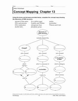 Cell Concept Map Worksheet Answers Awesome Section 10–1 Cell Growth Pages 241–243