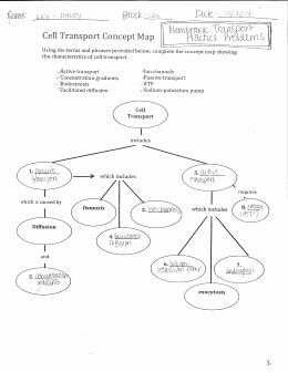 Cell Concept Map Worksheet Answers Best Of Diffusion and Osmosis Worksheet Answers